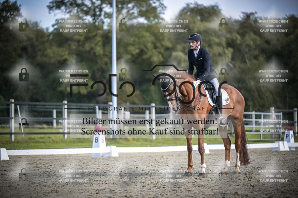 DOS_3608 | Entdecke hochwertige Reitturnierfotos von Foto Oger. Professionell, emotional und authentisch – jetzt Lieblingsmomente im Shop bestellen.Deutschlandweite Turnierfotografie. - Realisiert mit Pictrs.com