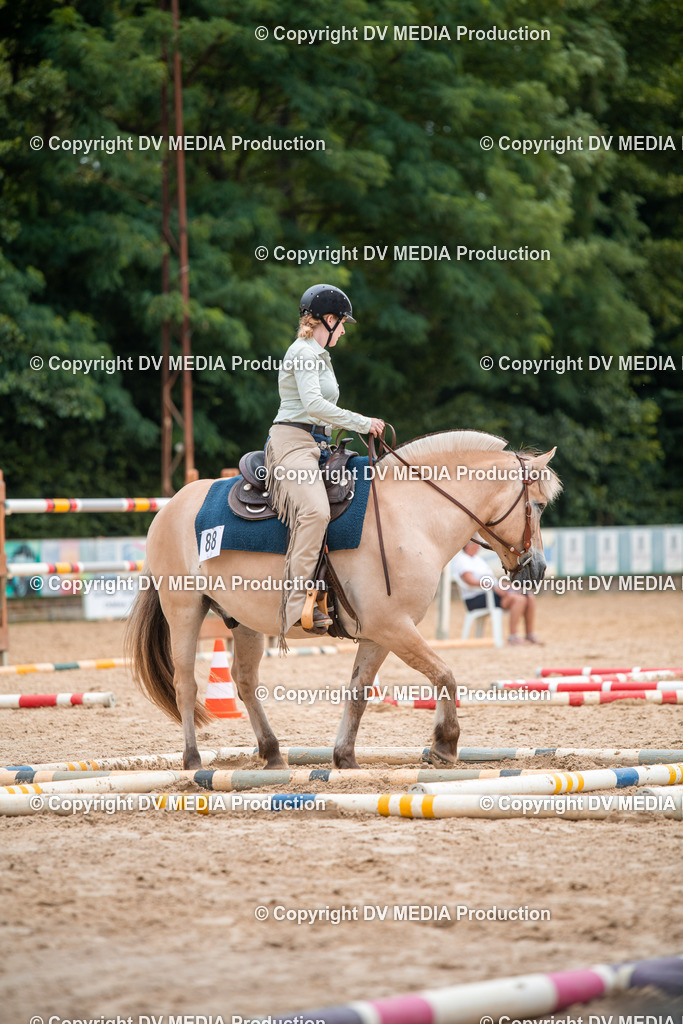 ZS2_7776 | dv-media-shop - Realisiert mit Pictrs.com