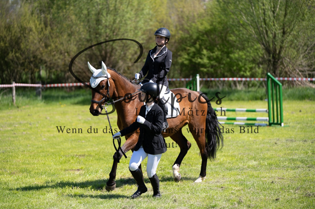 A7V01221 | Pferdefotograf