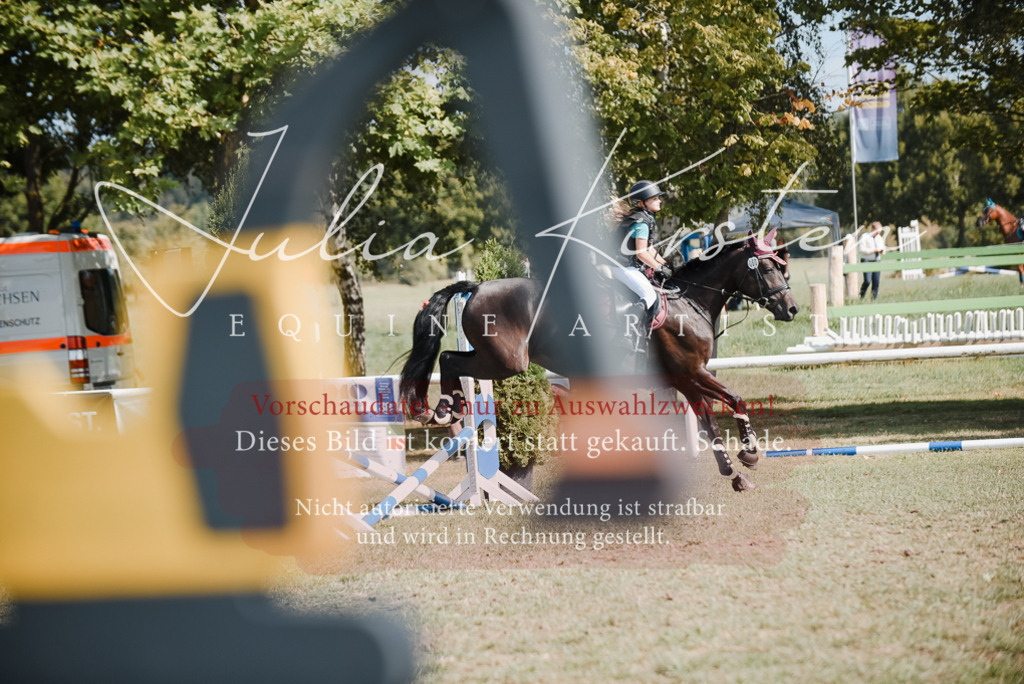 DSC_5246 | Pferde- und Turnierfotografie in Westsachsen. Pferdeportraits, Auftragszeichnungen und intuitive Kunst.