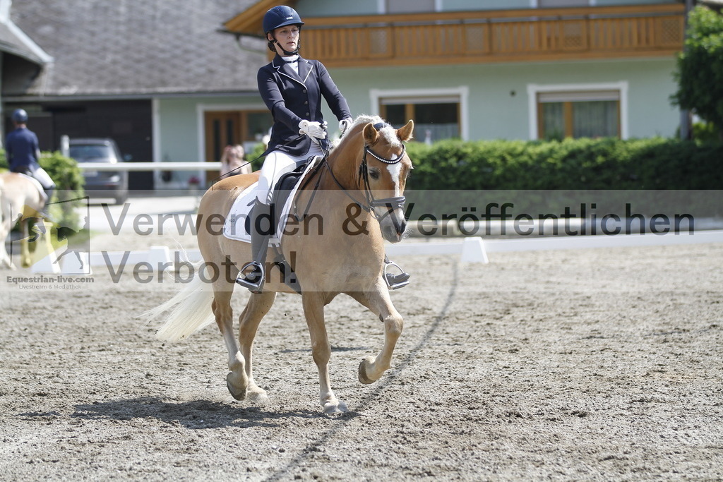 _MG_9980 | equestrian-live-com