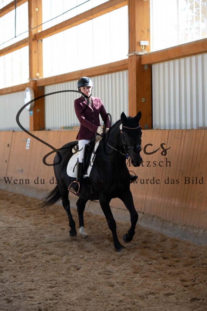 A7V02028 | Pferdefotograf