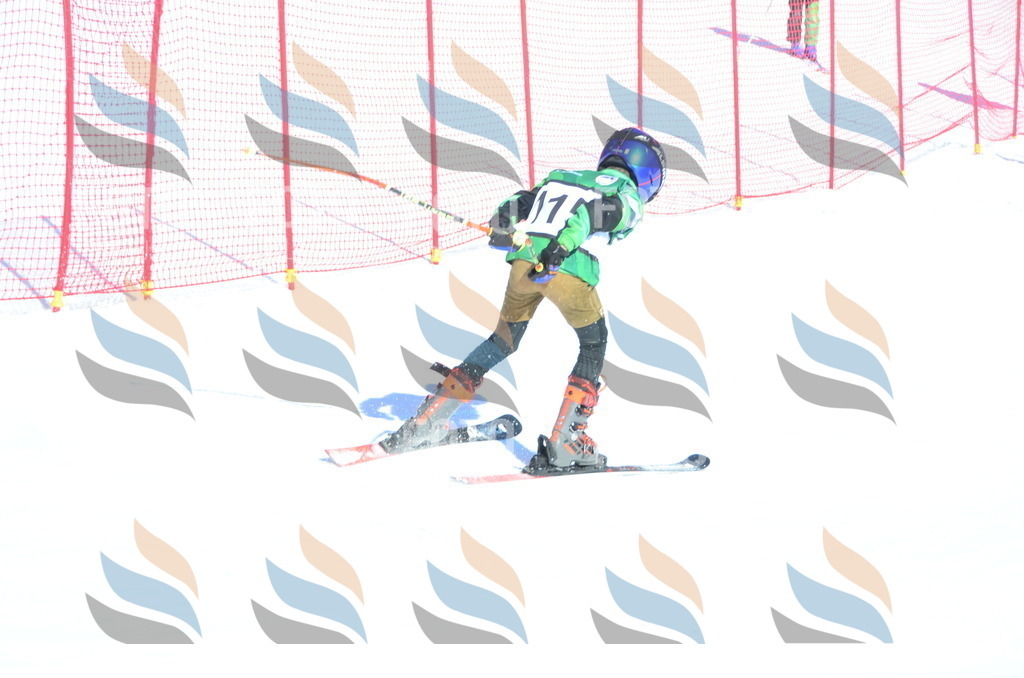 C5864 | holidayphoto