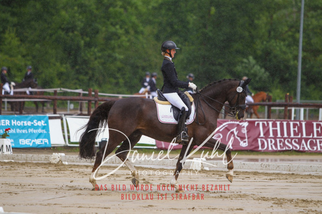 DKP40547 | Turniersportfotografie; Pferdefotografie; Dressurfotografie