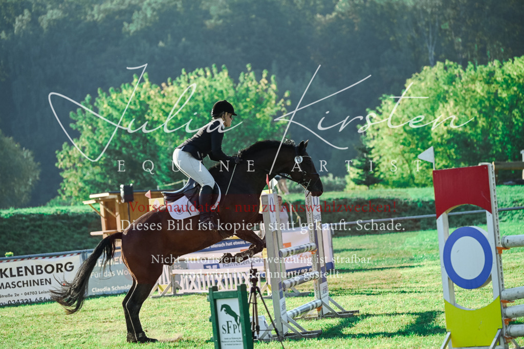 DSC_4350 | Pferde- und Turnierfotografie in Westsachsen. Pferdeportraits, Auftragszeichnungen und intuitive Kunst.