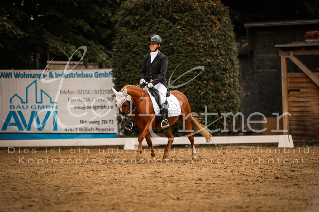 DoDrE00461 | Leoni Ertmer Photography - Realisiert mit Pictrs.com