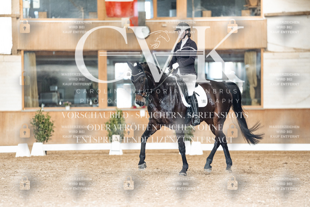CK902057 | Turnierfotografie Pferdefotografie Trier Rheinland-Pfalz Pferdesport Reitsport Tierfotografie Sportfotografie Pferdevideo Pferdevideografie Equestrianvideography equestrianphotography  - Realisiert mit Pictrs.com