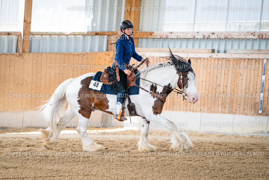 DSC03002 | Pferdegrafie