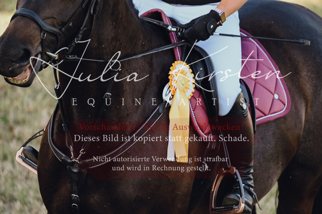 DSC_3292 | Pferde- und Turnierfotografie in Westsachsen. Pferdeportraits, Auftragszeichnungen und intuitive Kunst.