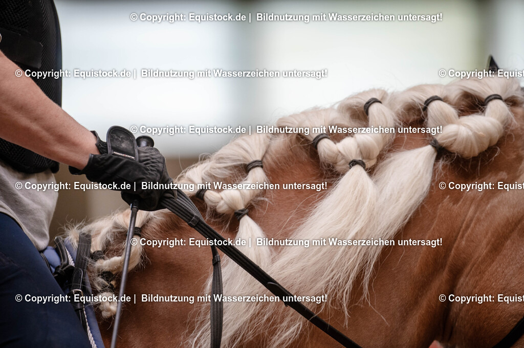 20250725_Vielseitigkeitslehrgang-Marbach_0421 | Foto: Thomas Hartig