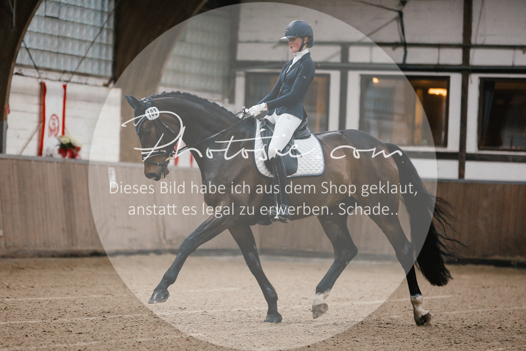 3I6A5824 | Stimmungsvolle Portraits und Reitsportfotografie im Ruhrgebiet und im Münsterland.

Pferdefotografie, Hundefotografie, Tierfotografie, Reportagen, Portraits von Tier und Mensch, Turnierfotografie in Bochum, Recklinghausen, Marl, Haltern am See, Dülmen.. - Realisiert mit Pictrs.com