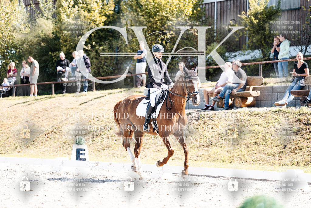 CK903972 | Turnierfotografie Pferdefotografie Trier Rheinland-Pfalz Pferdesport Reitsport Tierfotografie Sportfotografie Pferdevideo Pferdevideografie Equestrianvideography equestrianphotography  - Realisiert mit Pictrs.com