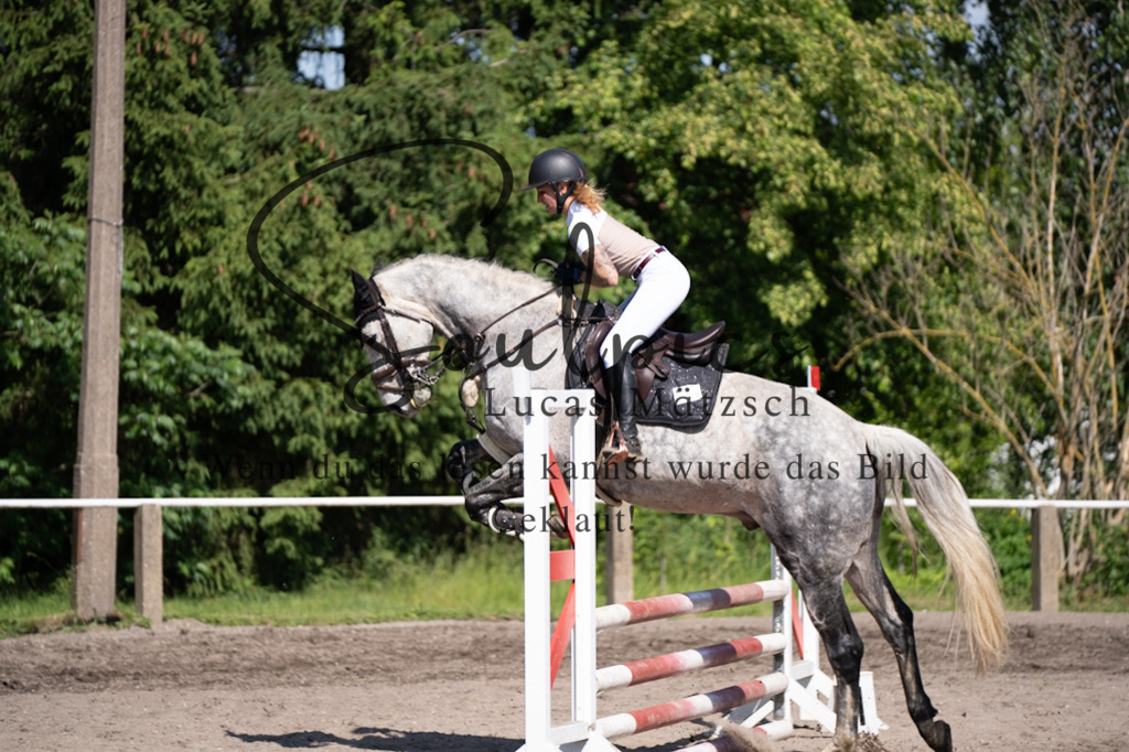 A7V03478 | Pferdefotograf