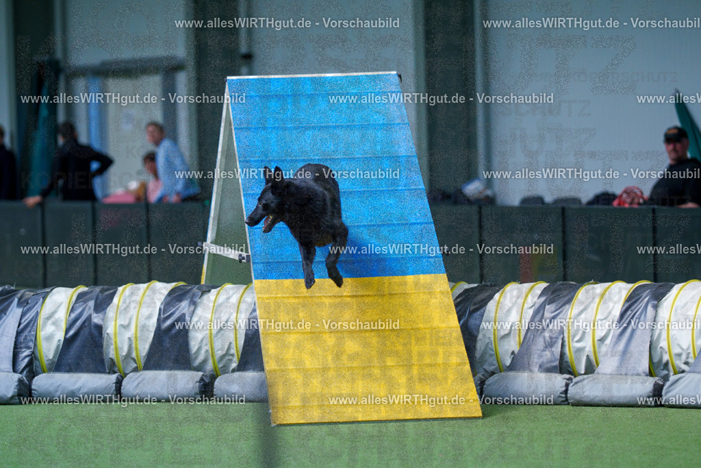 @allesWIRTHgut_Tierfotografie - www.allesWIRTHgut.de - 2604251433-7R504957 | Professionelle Tierfotografie in Mönchengladbach von Daniel Wirth (allesWIRTHgut). Liebevolle & natürliche Bilder von Hunden & Katzen für unvergessliche Erinnerungen.