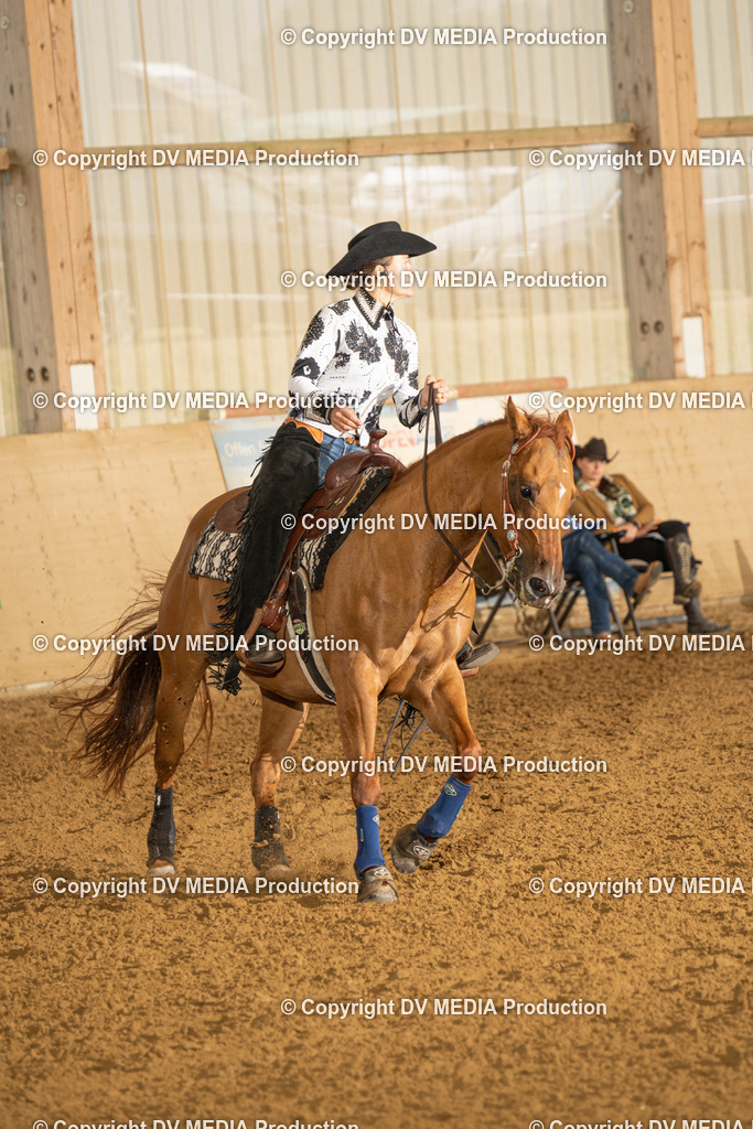 LAU00685 | dv-media-shop - Realisiert mit Pictrs.com