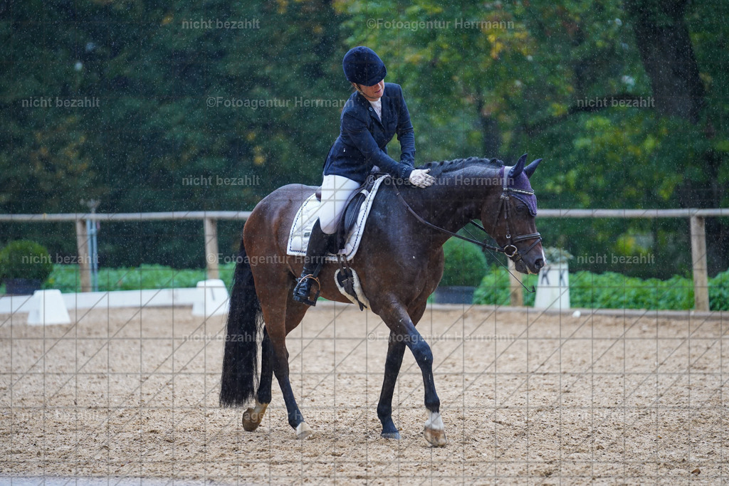 20221008-FAH02054 | Diessen am Ammersee, 2022, Dressur- und Springturnier, Reitsportbilder, Turnierfotografen Bayern, Pferdefotografen, Fotoagentur Herrmann, Turnierbilder