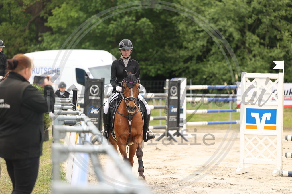 994A8810 | sabrinanicolaifotografie - Realisiert mit Pictrs.com