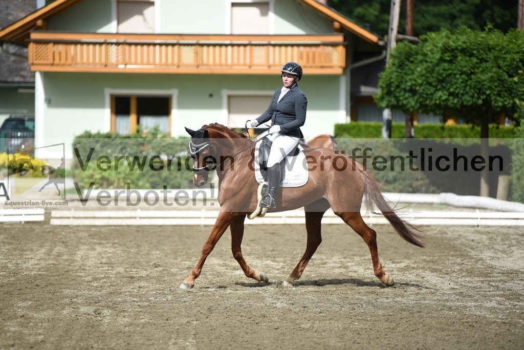 DSC_4952 | equestrian-live-com