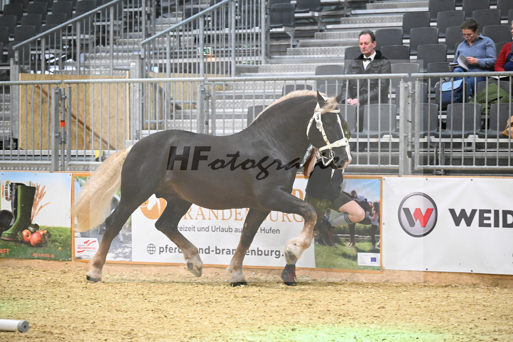 Kat-Nr. 3 Steinbach v. Burggen v. Sixtus_Schleich_1260049 | hf-fotografie - Realisiert mit Pictrs.com