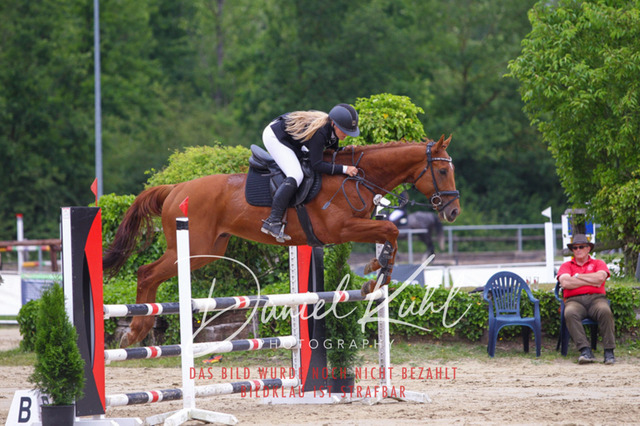 DKP41823 | Turniersportfotografie; Pferdefotografie; Dressurfotografie