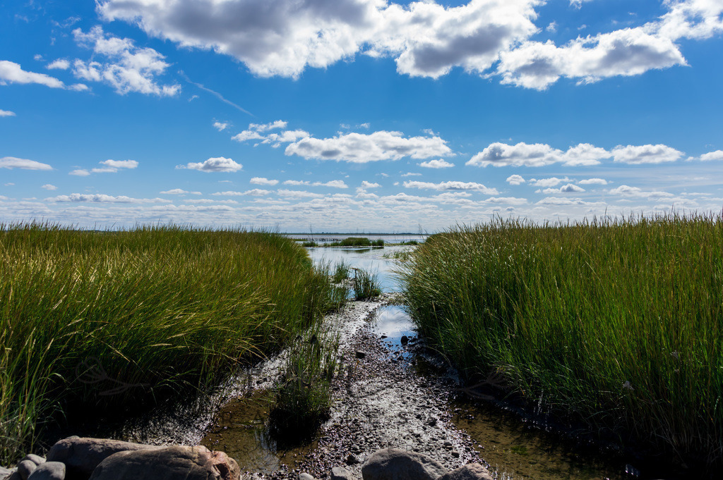 IMGP0406 | Nordseeinsel Mandö - Realisiert mit Pictrs.com