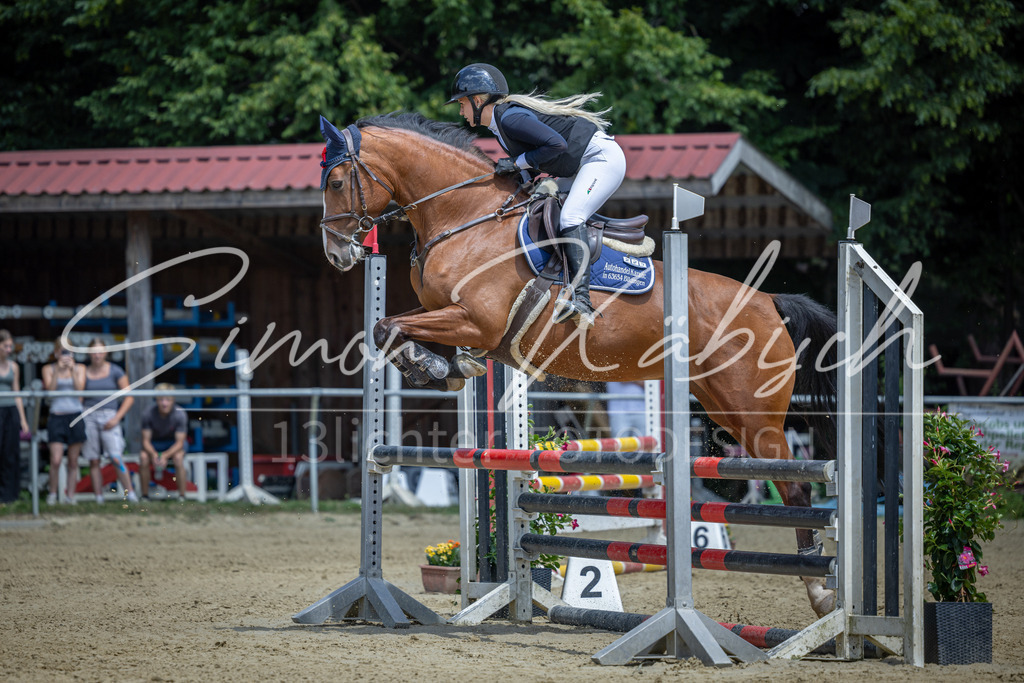 20260704-_3LI9379 | Tierfotografie Pferde, Hunde, Katzen, Haustiere.
Turnierfotografie Reitturniere, Reiten, Springreiten, Dressur in Hanau, dem Main-Kinzig-Kreis und dem Rhein-Main- Gebiet um Frankfurt