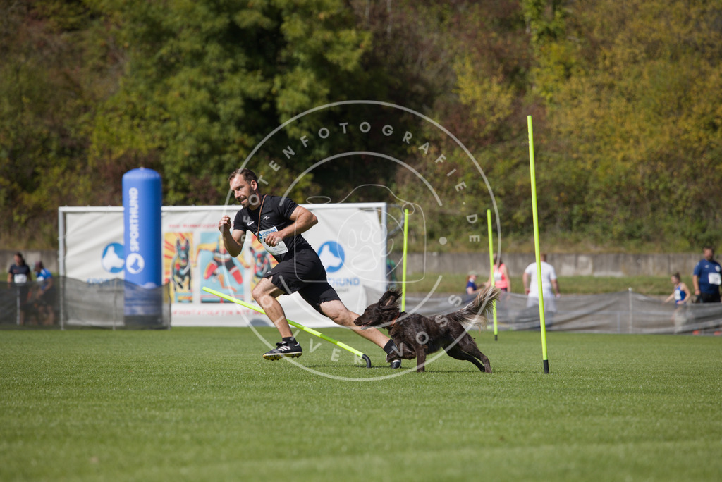 0L8A3065 | Hundefotografie, Tierfotograf, Pfotenfotografie, Fotoshooting Hund, Hunde Portrait, Hundesport, Hundeportraits, Heideshooting, Hunde, Sportfotograf, Hundefotograf, Turnierhundsport, THS,  - Realisiert mit Pictrs.com