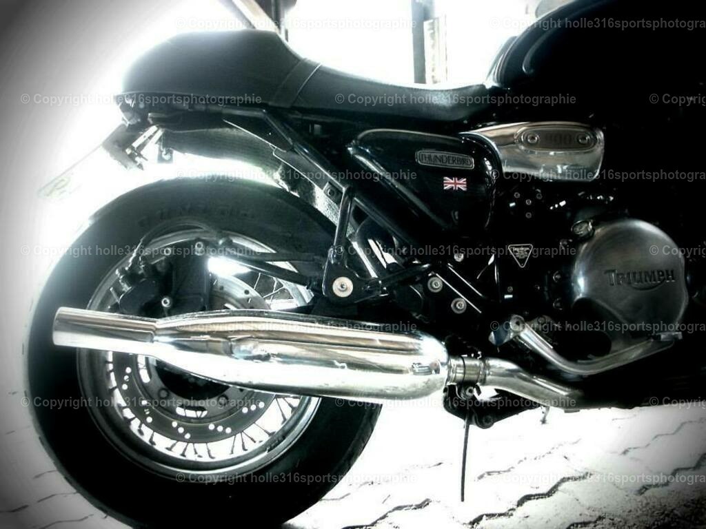 1012582_4225537854785_5465811200585965467_n | Sportfotografie , Motorsport, Motoross, Reitsport, Mointainbike, Enduro,
Landschaft , Outdoor, Eventfotografie, Landschaft, Bilder online bestellen - Realisiert mit Pictrs.com