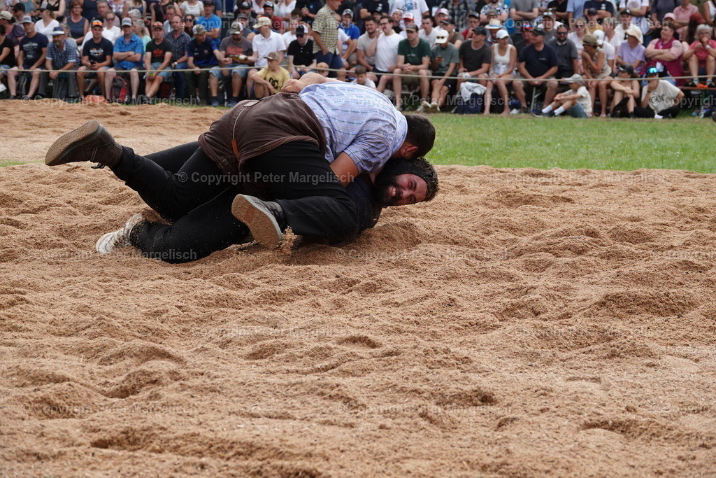 DSC01269 | Schwingen - Realisiert mit Pictrs.com