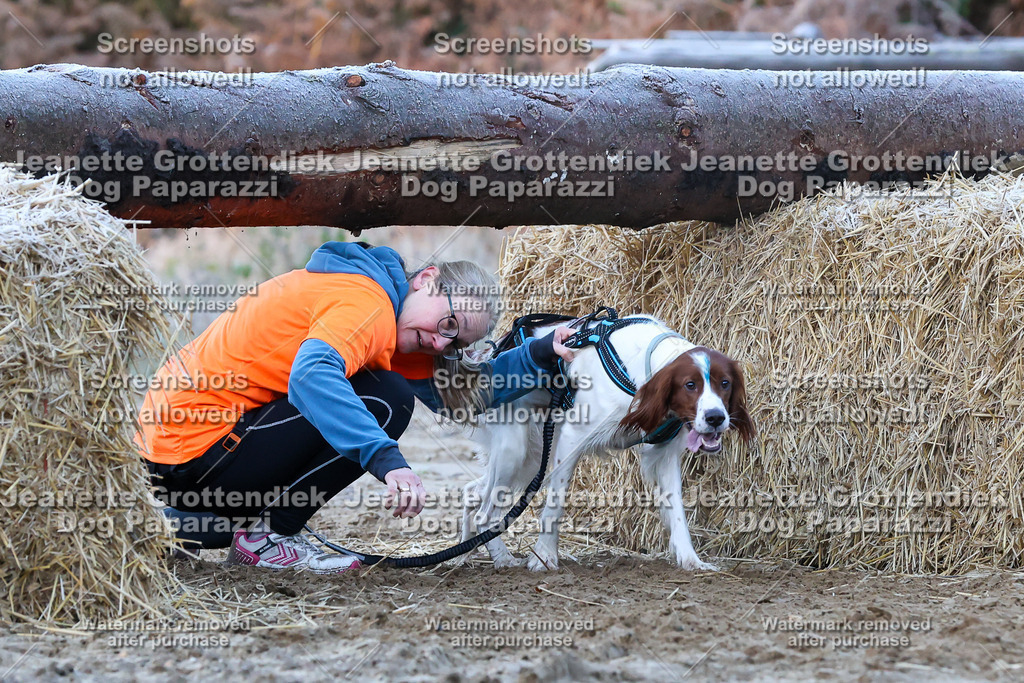 Dog Paparazzi - Strongdog 10-25-310 | Dog Paparazzi Jeanette Grottendiek Fotografie & Videografie - Realisiert mit Pictrs.com