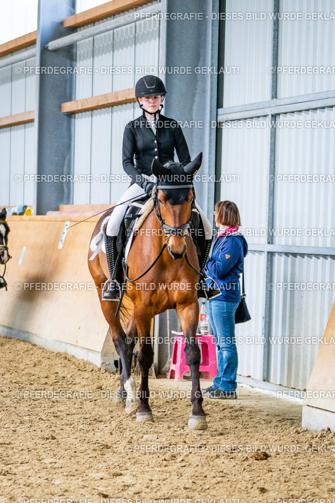 DSC03876 | Pferdegrafie