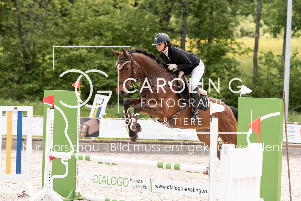 DSC_0539 | Turnierfotografin Carolin Gieschke, Turnierfotografie Carolin G Fotografie, Turnierfotos Kirchheim/Teck, Esslingen, Stuttgart, Bodenseekreis