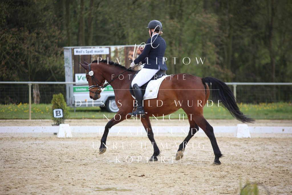 IMGT5283 | pl-fotografie