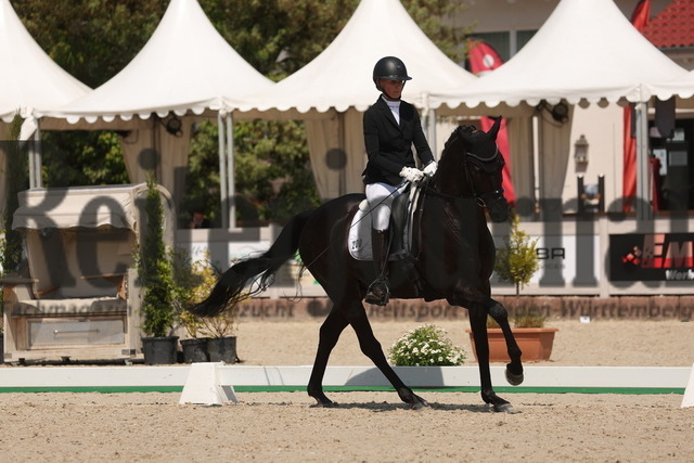 Winterlingen_2023_Prfg.Nr.11_Dressurpferde_Kl.M_BCH-Qualifikation_Laura Weiss_Fortune _ Fame (8) | Alle Fotos der Reiterjournal Fotografin Doris Matthaes im Reiterjournal Online-Fotoshop. - Realisiert mit Pictrs.com