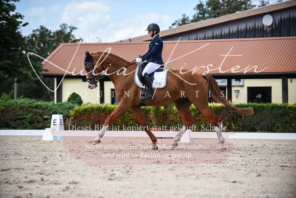 DSC_9223 | Pferde- und Turnierfotografie in Westsachsen. Pferdeportraits, Auftragszeichnungen und intuitive Kunst.