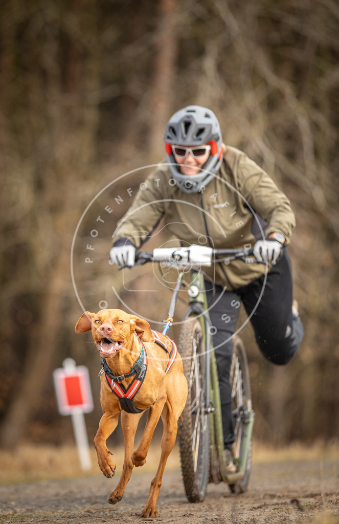 DV3A3515 | Hundefotografie, Tierfotograf, Pfotenfotografie, Fotoshooting Hund, Hunde Portrait, Hundesport, Hundeportraits, Heideshooting, Hunde, Sportfotograf, Hundefotograf, Turnierhundsport, THS,  - Realisiert mit Pictrs.com