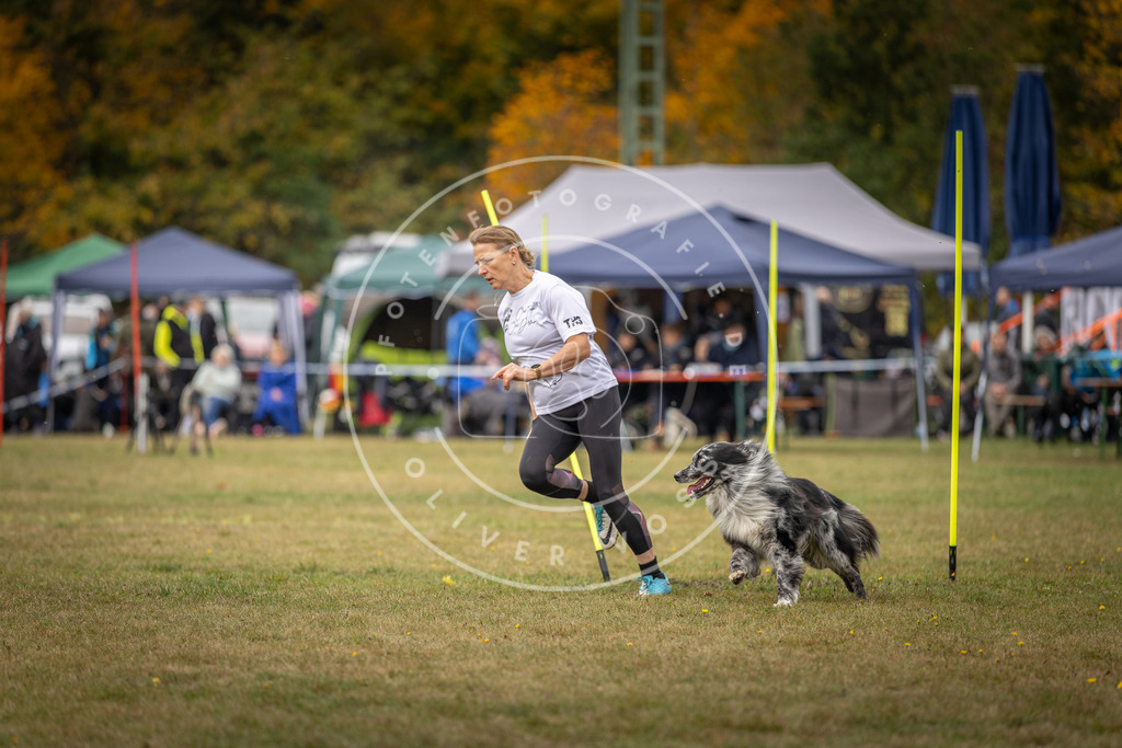 Pfotenfotografie_DV3A5994 | Hundefotografie, Tierfotograf, Pfotenfotografie, Fotoshooting Hund, Hunde Portrait, Hundesport, Hundeportraits, Heideshooting, Hunde, Sportfotograf, Hundefotograf, Turnierhundsport, THS,  - Realisiert mit Pictrs.com