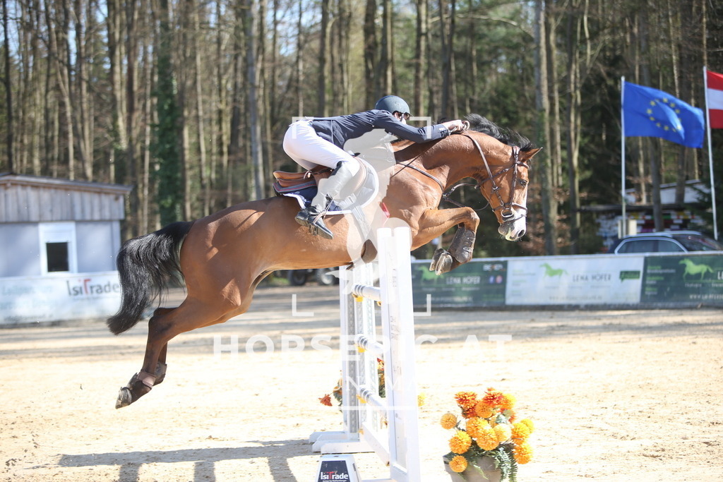 PP015502 | Willkommen bei Brunnmayr - Design & Fotografie – Ihrem Spezialisten für Reitturniere und Pferdeveranstaltungen in Oberösterreich, Salzburg und Bayern! Seit über 17 Jahren sind wir leidenschaftlich dabei.