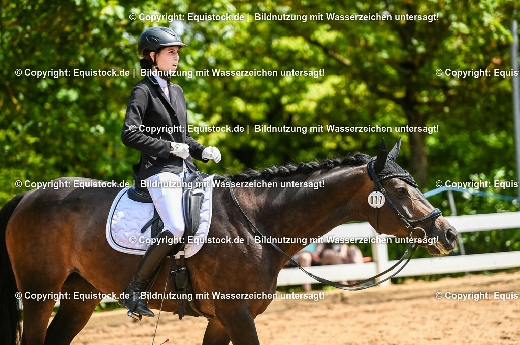20230716_03_Dressurprfg. Kl.L - Tr._0593 | equistock