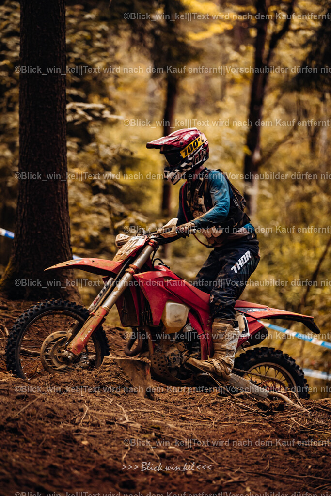 E68A5842 | blick_win_kel