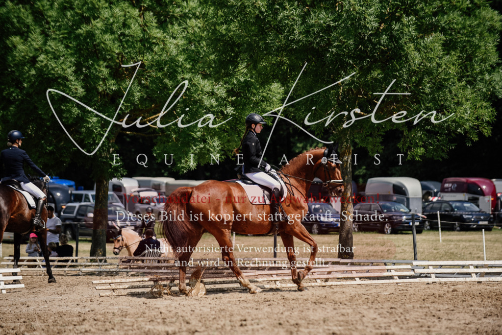DSC_1407 | Pferde- und Turnierfotografie in Westsachsen. Pferdeportraits, Auftragszeichnungen und intuitive Kunst.