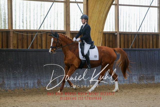 IMG_0274 | Turniersportfotografie; Pferdefotografie; Dressurfotografie