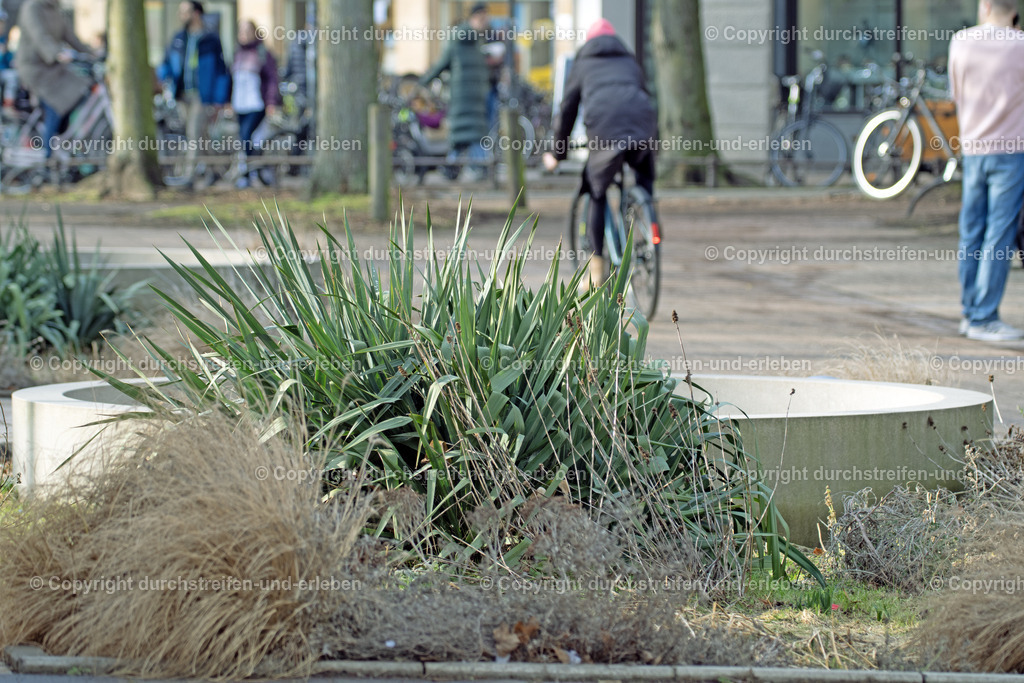 Wasserspiele am Servatiiplatz, Münster | Wasserspiele am Servatiiplatz, Münster - Realisiert mit Pictrs.com