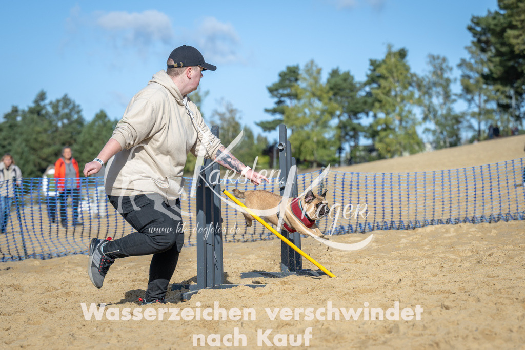 1114_ZZ90752 | kk-dogfotos