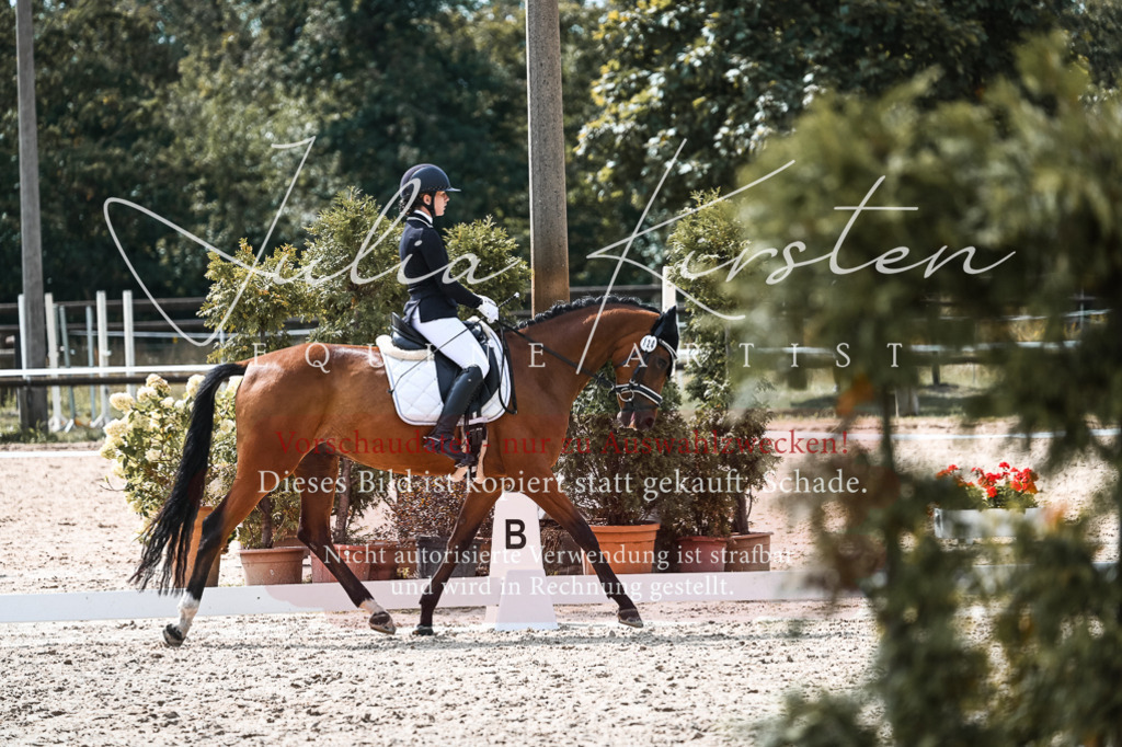 DSC_5169 | Pferde- und Turnierfotografie in Westsachsen. Pferdeportraits, Auftragszeichnungen und intuitive Kunst.