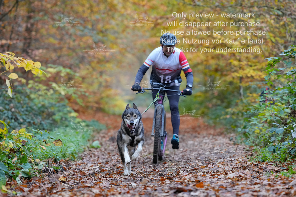 Scooter_So-36 | stephaniefillaphotographie - Realisiert mit Pictrs.com