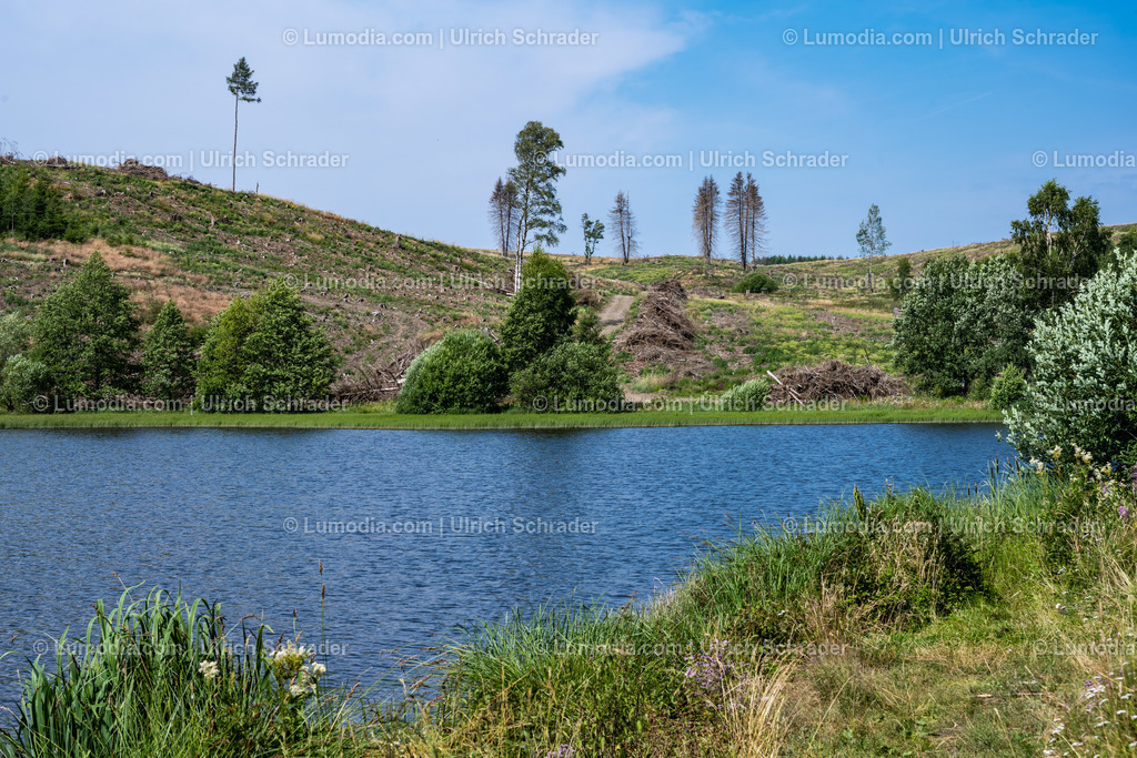 10049-12489 - Trautenstein im Oberharz | Stockfoto und Bilderpool mit Bildmaterial aus Deutschland, dem Harz, Halberstadt, Quedlinburg, Wernigerode und weltweit. Qualitativ hochwertige und professionelle Fotos anschauen und kaufen. - Realisiert mit Pictrs.com