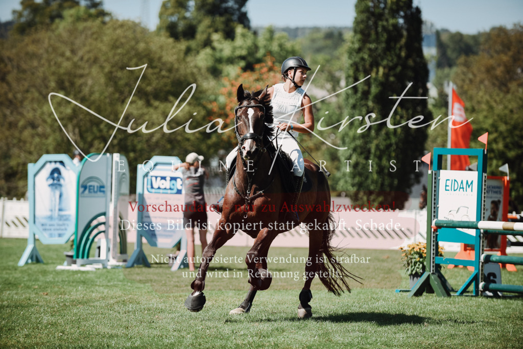 DSC_3051 | Pferde- und Turnierfotografie in Westsachsen. Pferdeportraits, Auftragszeichnungen und intuitive Kunst.