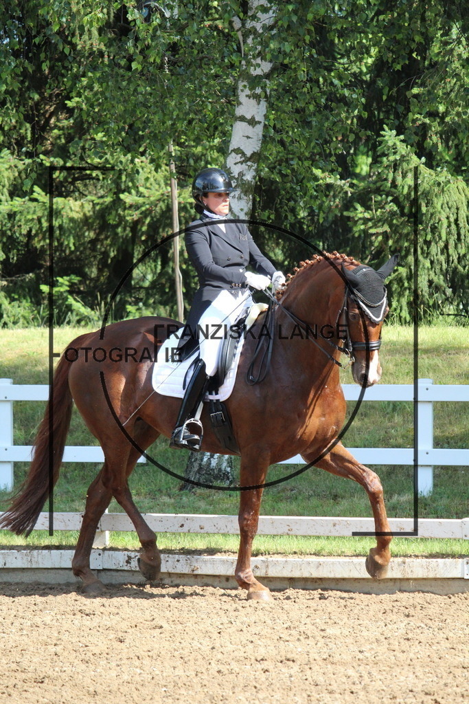 IMG_6831 | franziskalange - Realisiert mit Pictrs.com