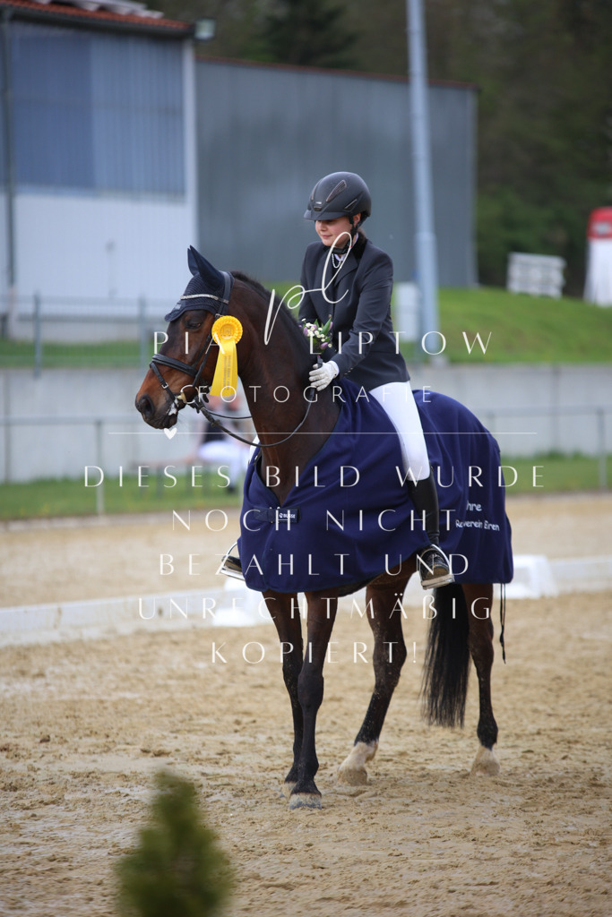 IMGT7404 | pl-fotografie